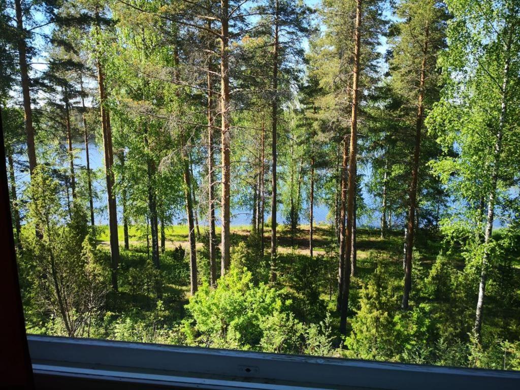 סאבונלינה Saimaa Lakeland Fisherman'S Village מראה חיצוני תמונה